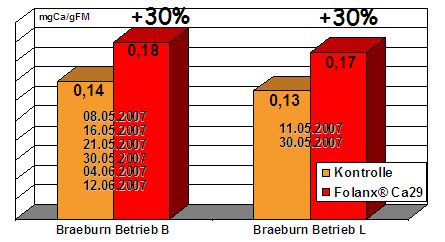 Folanx Ca29, der neue Calcium-Blattdünger - auch bei später Applikation noch wirkungsvoll: mg Ca/100 g FM im Walnußstadium (BBCH 73)